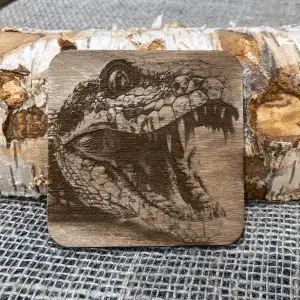 Serpent Viking Coaster